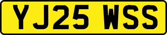 YJ25WSS