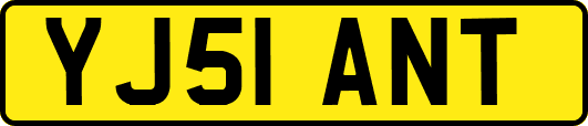 YJ51ANT