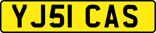 YJ51CAS