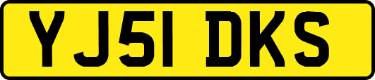 YJ51DKS
