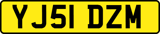 YJ51DZM