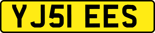 YJ51EES