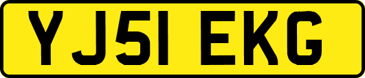 YJ51EKG