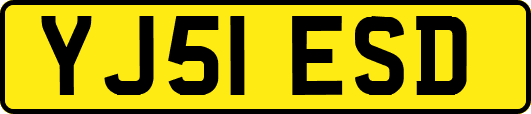 YJ51ESD