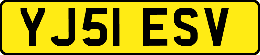 YJ51ESV