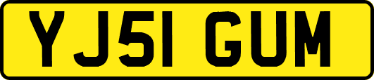YJ51GUM