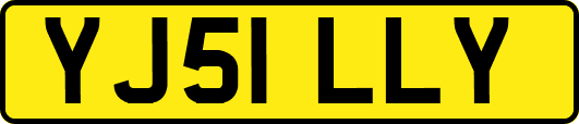 YJ51LLY