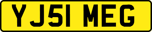 YJ51MEG