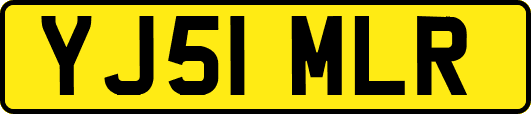 YJ51MLR