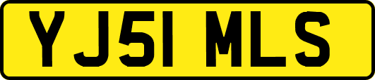 YJ51MLS