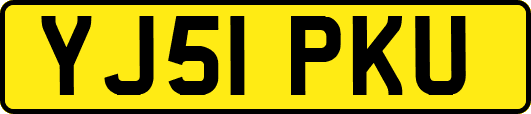YJ51PKU