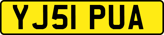 YJ51PUA