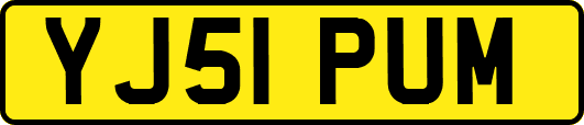 YJ51PUM