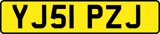 YJ51PZJ