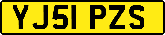 YJ51PZS