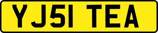 YJ51TEA