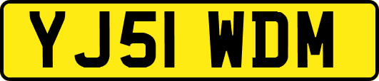 YJ51WDM