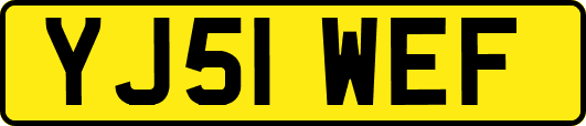 YJ51WEF