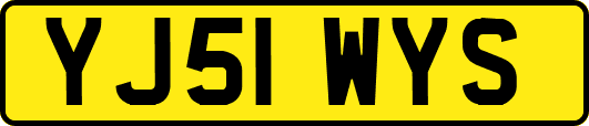 YJ51WYS