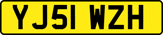YJ51WZH