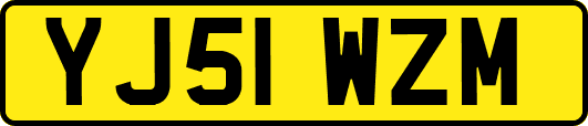 YJ51WZM