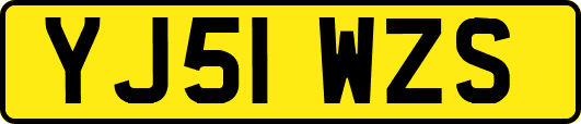 YJ51WZS