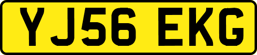 YJ56EKG