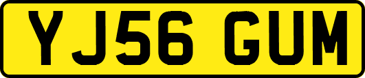 YJ56GUM
