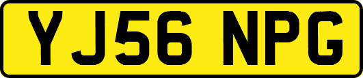 YJ56NPG