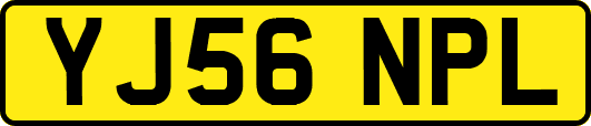 YJ56NPL
