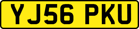 YJ56PKU