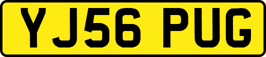 YJ56PUG
