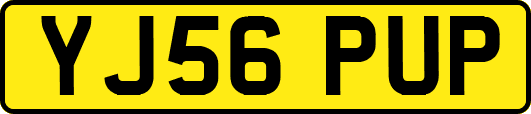 YJ56PUP
