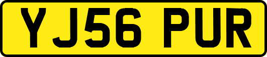 YJ56PUR