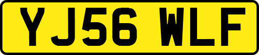 YJ56WLF