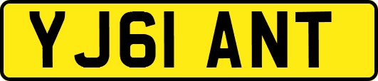 YJ61ANT