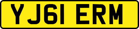 YJ61ERM