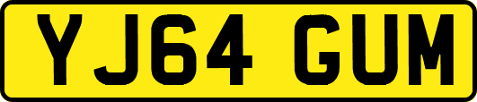 YJ64GUM