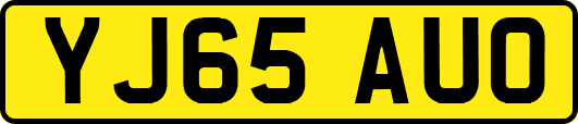 YJ65AUO
