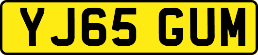 YJ65GUM