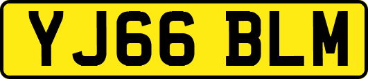 YJ66BLM