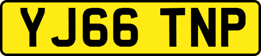 YJ66TNP
