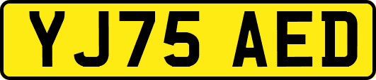 YJ75AED