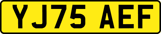YJ75AEF