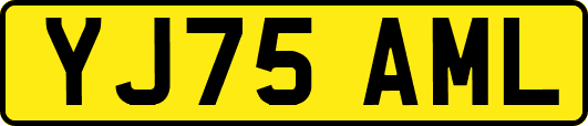 YJ75AML
