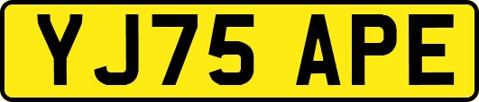 YJ75APE