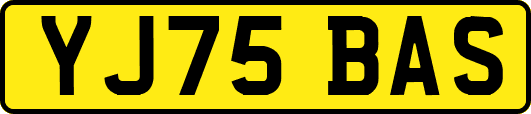 YJ75BAS