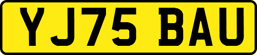 YJ75BAU