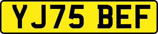 YJ75BEF
