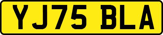 YJ75BLA